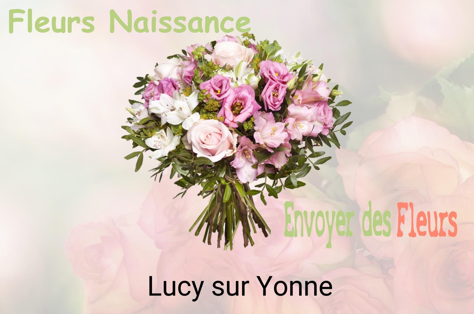 Bouquet de fleurs de naissance livré à Lucy-sur-Yonne