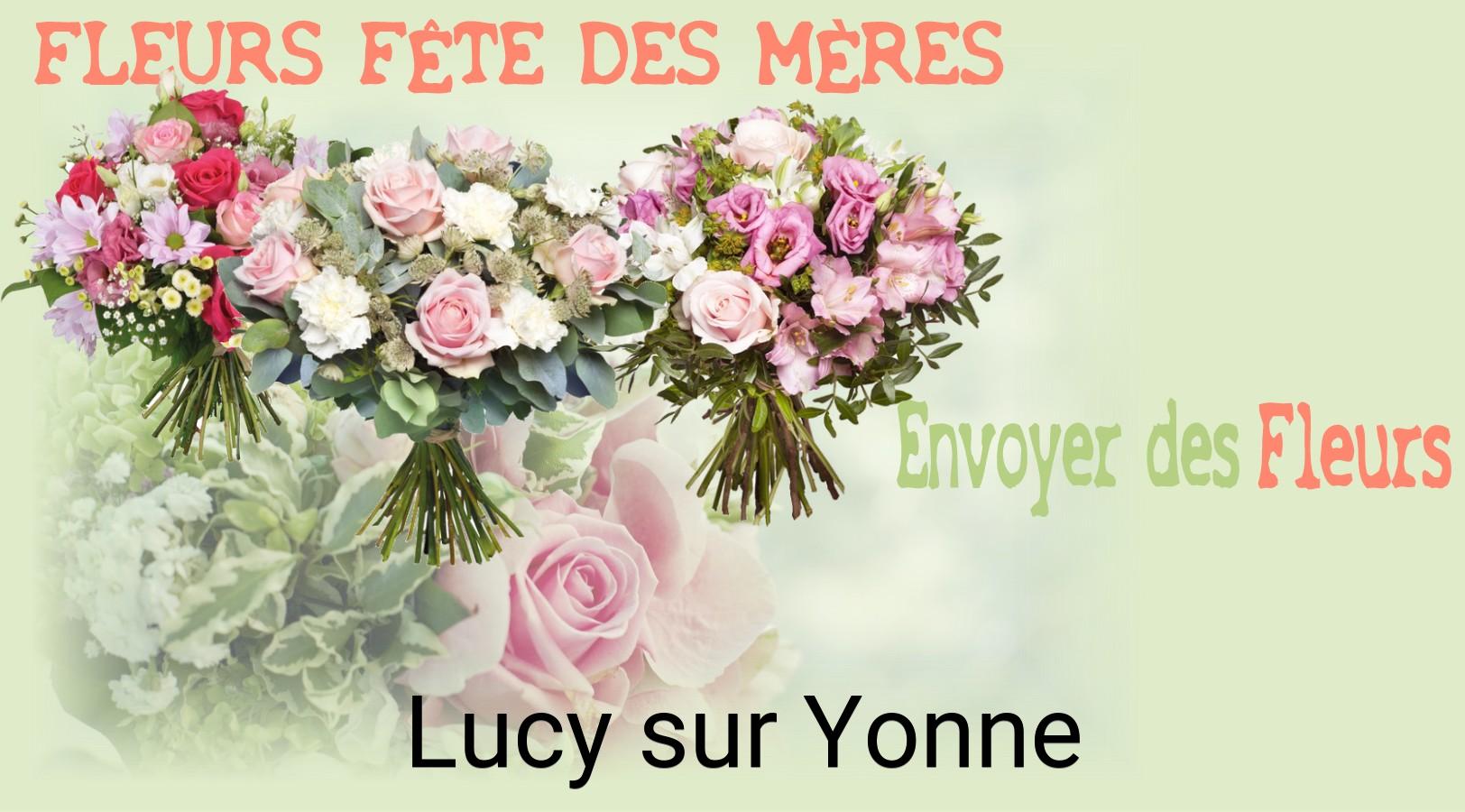 Bouquet de Fête des Mères livré à Lucy-sur-Yonne